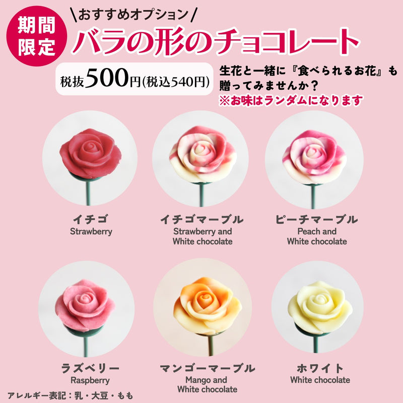 ＜オプション＞ベルローズ１輪
